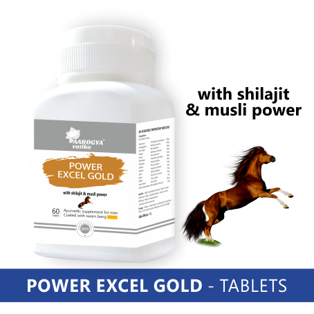 POWER EXCEL WITH MUSLI (60 TAB)